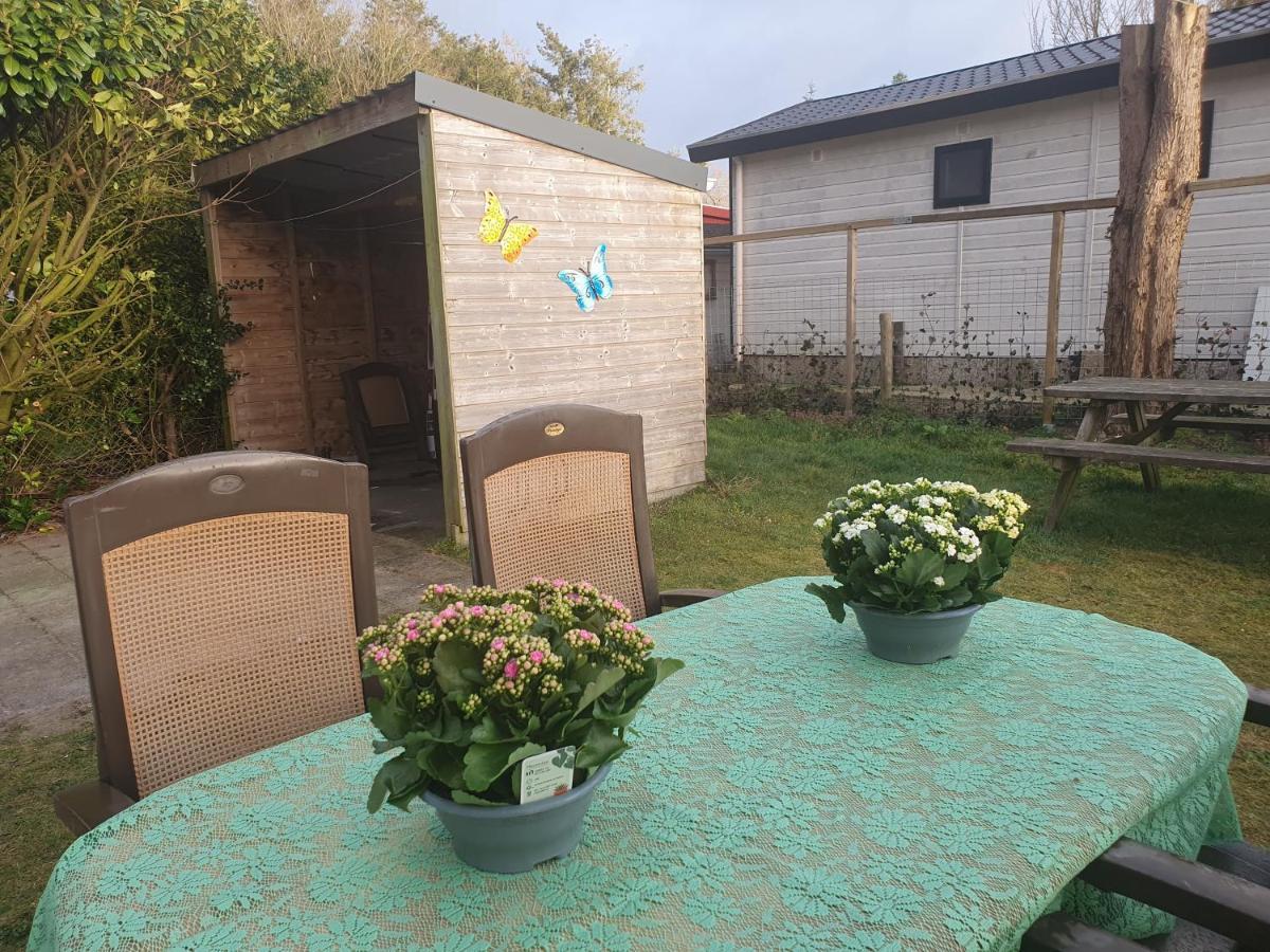 Villa Relax Huisje Is Een Luxe Huisje Met Een Vaatwasser En Zeer Snel Wifi 5G En Is Voorzien Van Een Nieuwe Badkamer En Keuken Met Een Omheinde Tuin Met Een Eigen Parkeerplaats Putten Exterior foto