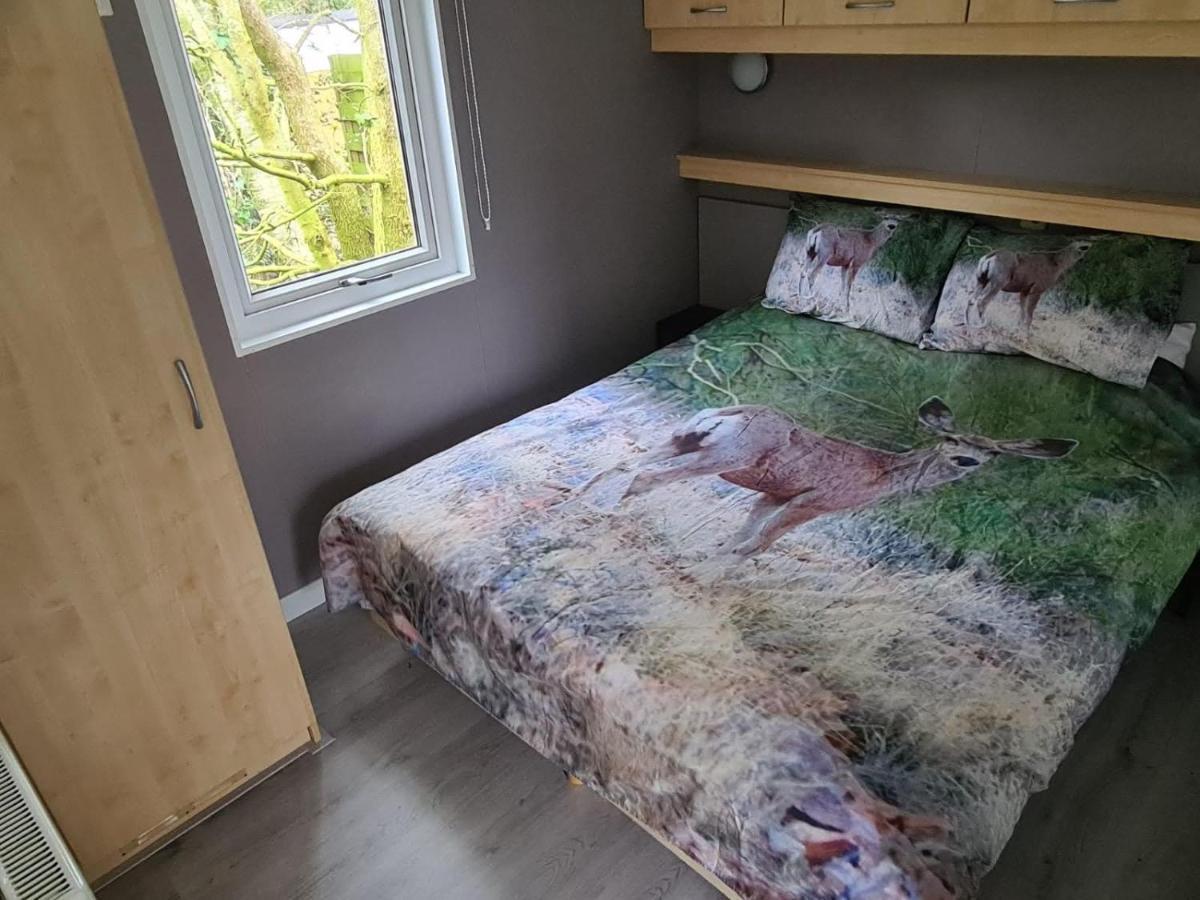 Villa Relax Huisje Is Een Luxe Huisje Met Een Vaatwasser En Zeer Snel Wifi 5G En Is Voorzien Van Een Nieuwe Badkamer En Keuken Met Een Omheinde Tuin Met Een Eigen Parkeerplaats Putten Exterior foto
